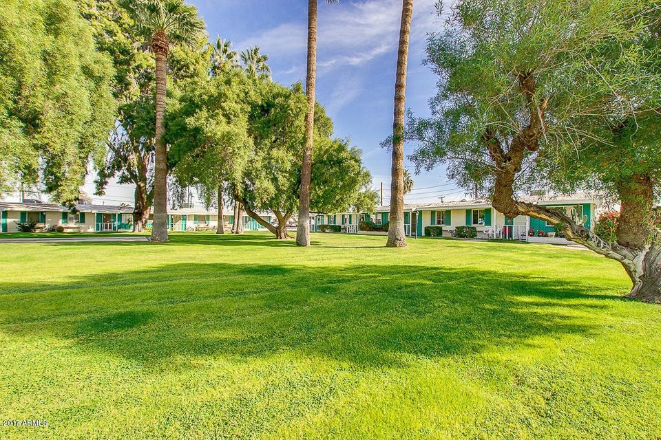 HUGE Grassy Front Courtyard