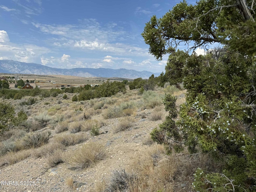 TBD Old Ranch Rd unit 2, Gardnerville, NV 89410 - photo 1
