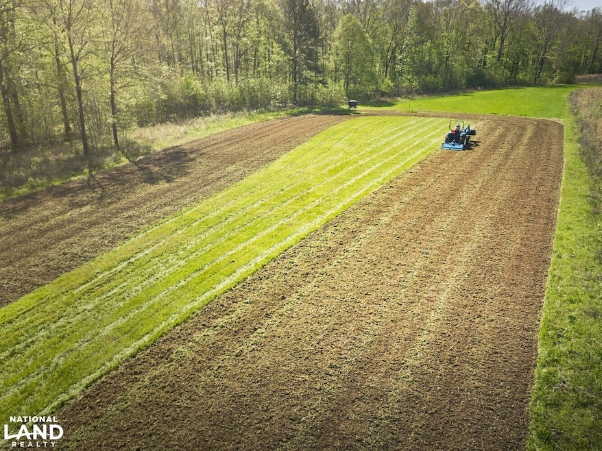 1444 Co Rd 441, Wilsonville, AL 35186 - photo 1