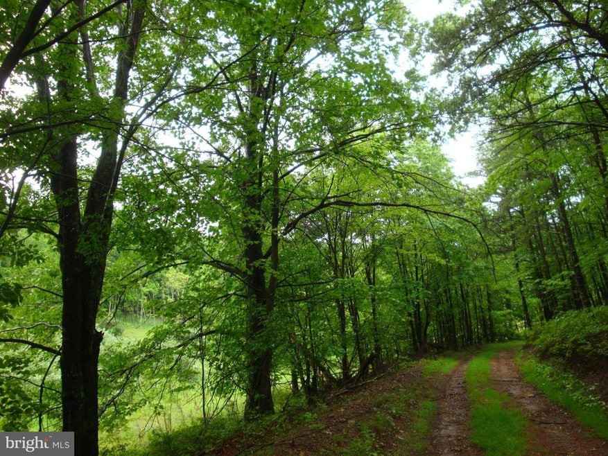 0 Horn Camp Rd unit 1000214915, Rio, WV 26755 - photo 1