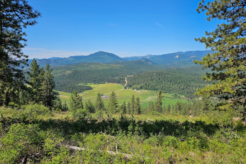 2XXX Wrights Valley Rd, Chewelah, WA 99109 - photo 1
