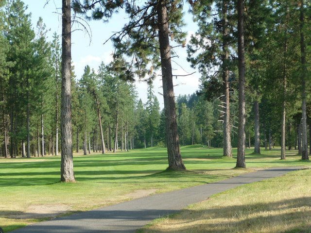 15th Fairway
