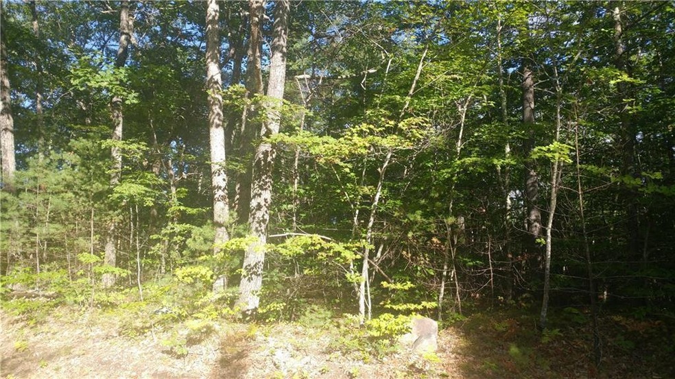0 H Rd unit 1326139, Acton, ME 04001 - photo 1