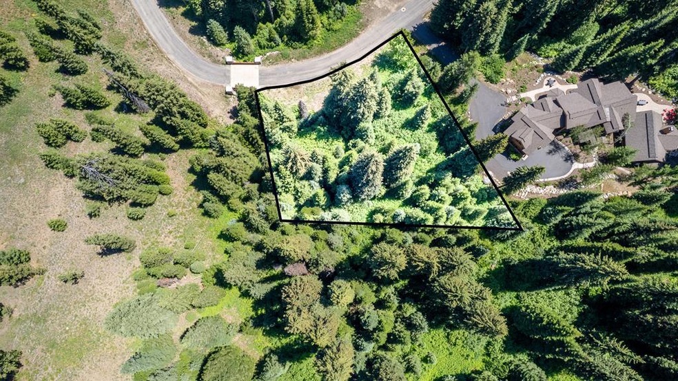 151 Pinnacle Ct unit 47, Tamarack, ID 83615 - photo 1