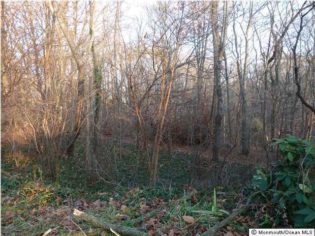 0 Stoecker Rd unit 21239453, Holmdel, NJ 07733 - photo 1