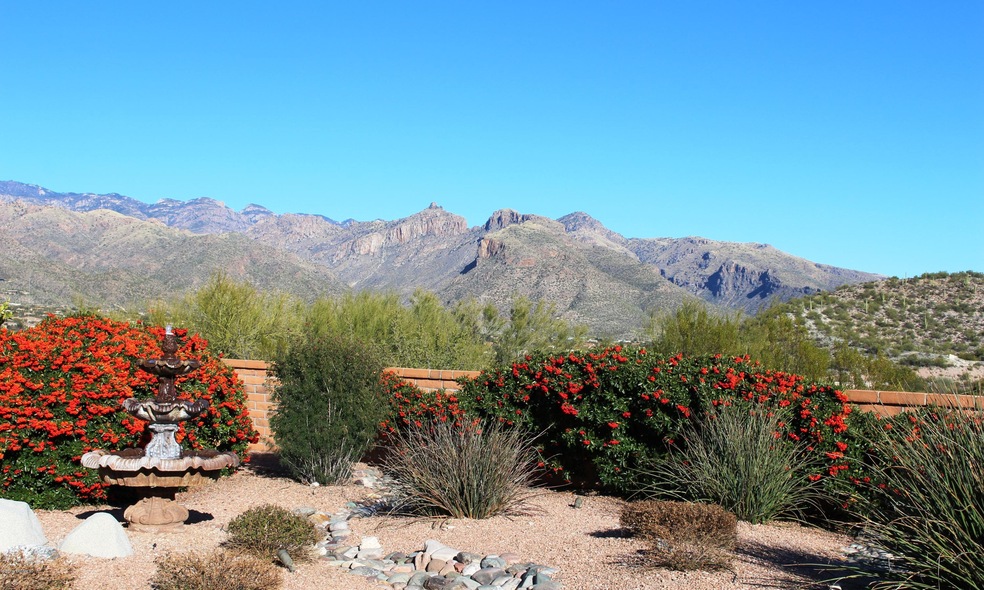 Sabino Canyon Views