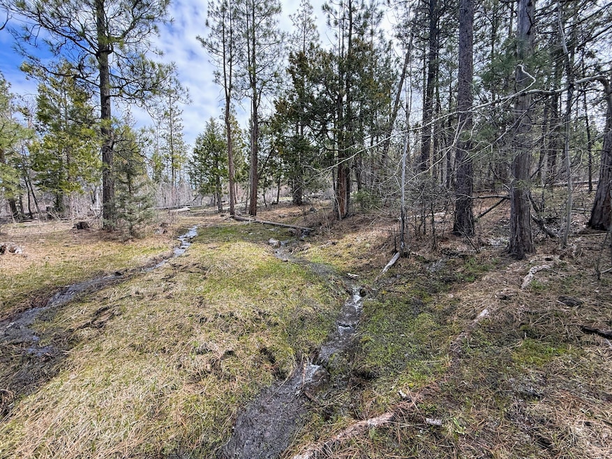 0 Yellowjacket Spring Rd unit 220202108, Beatty, OR 97621 - photo 1