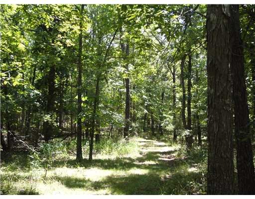 0 Hwy 156 unit 626377, West Fork, AR 72774 - photo 1