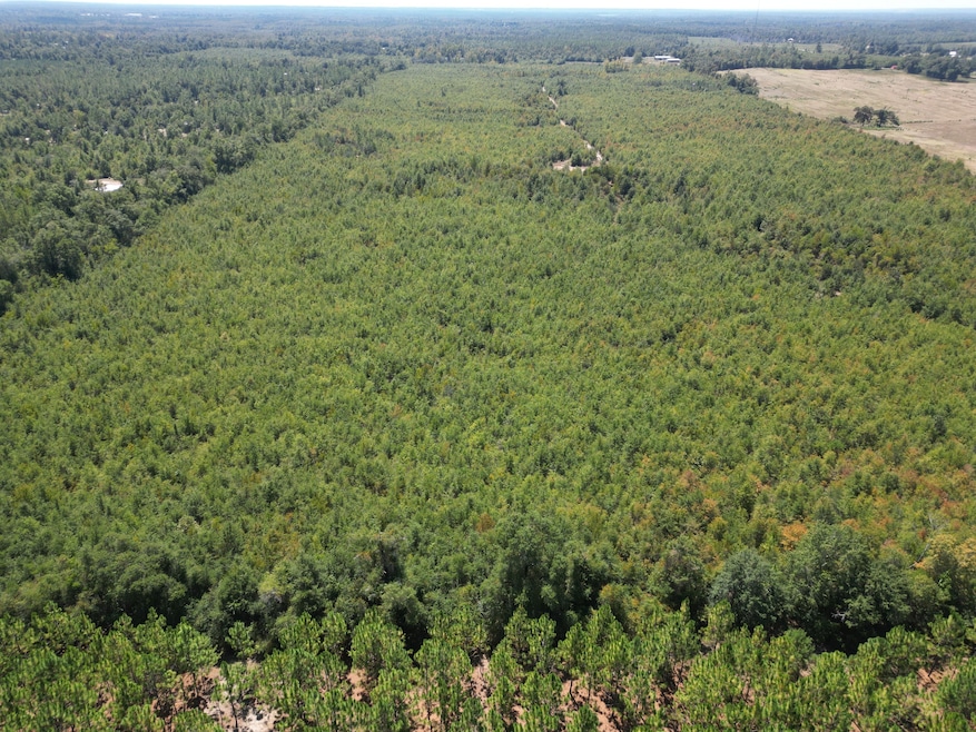 0 Black Rd unit 24725300, Marianna, FL 32446 - photo 1