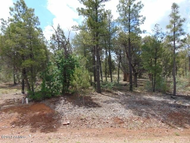 Lot 487 1
