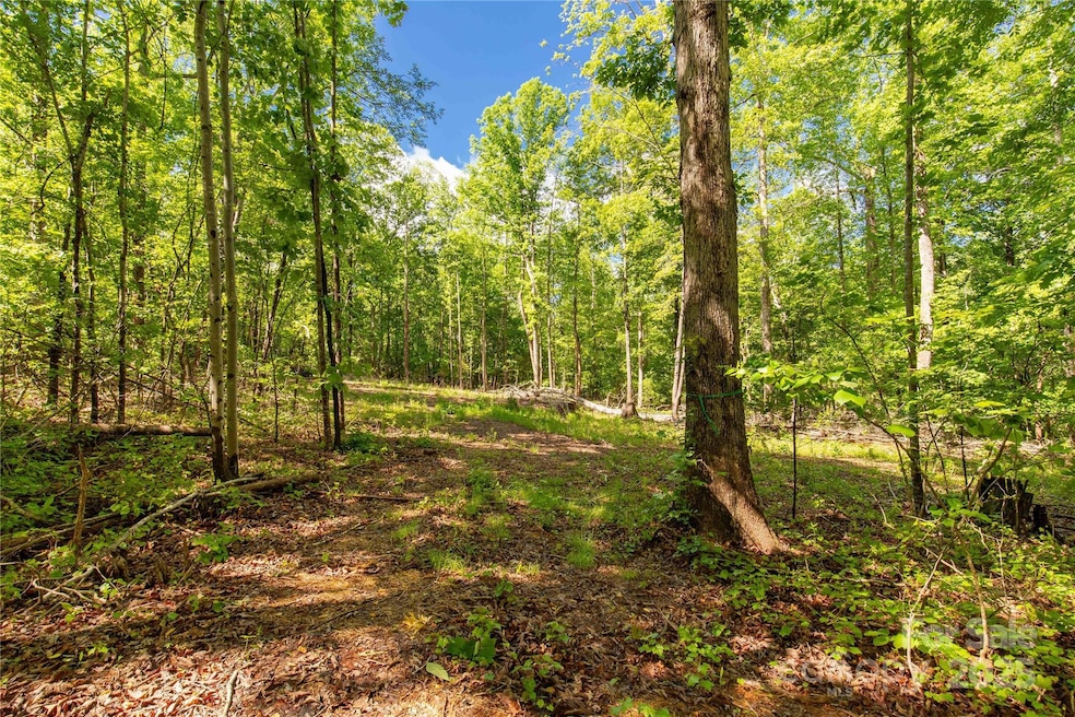 5212 Star Magnolia Ct, Clover, SC 29710 - photo 1