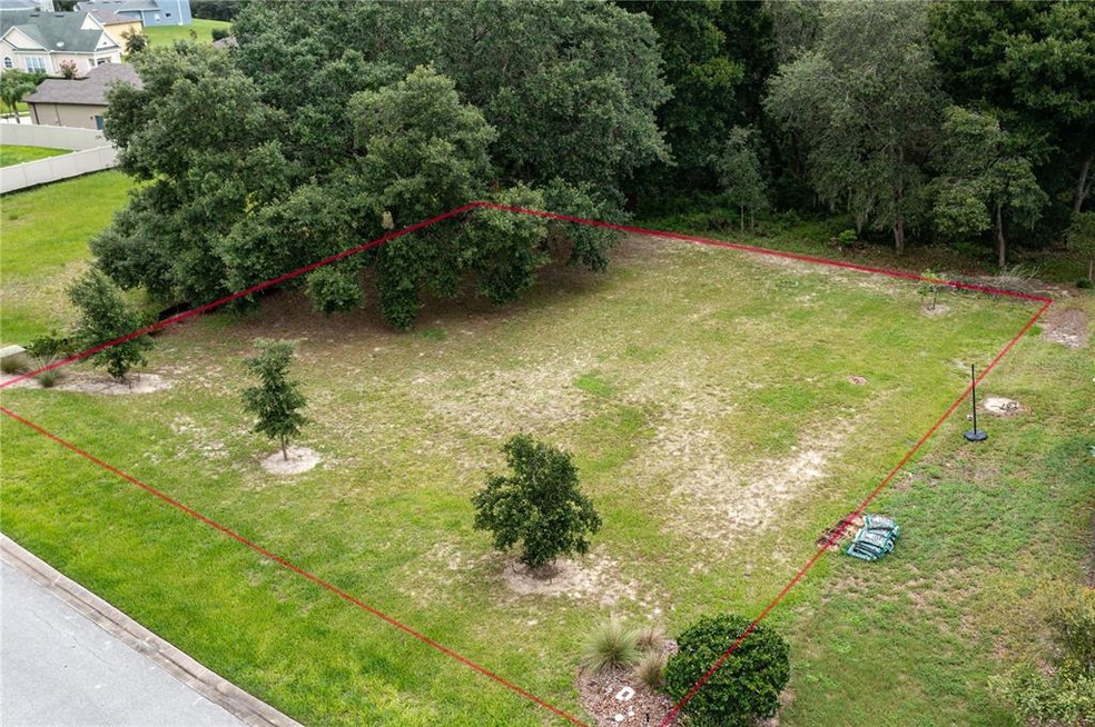 30134 Bretton Loop, Mount Dora, FL 32757 - photo 1