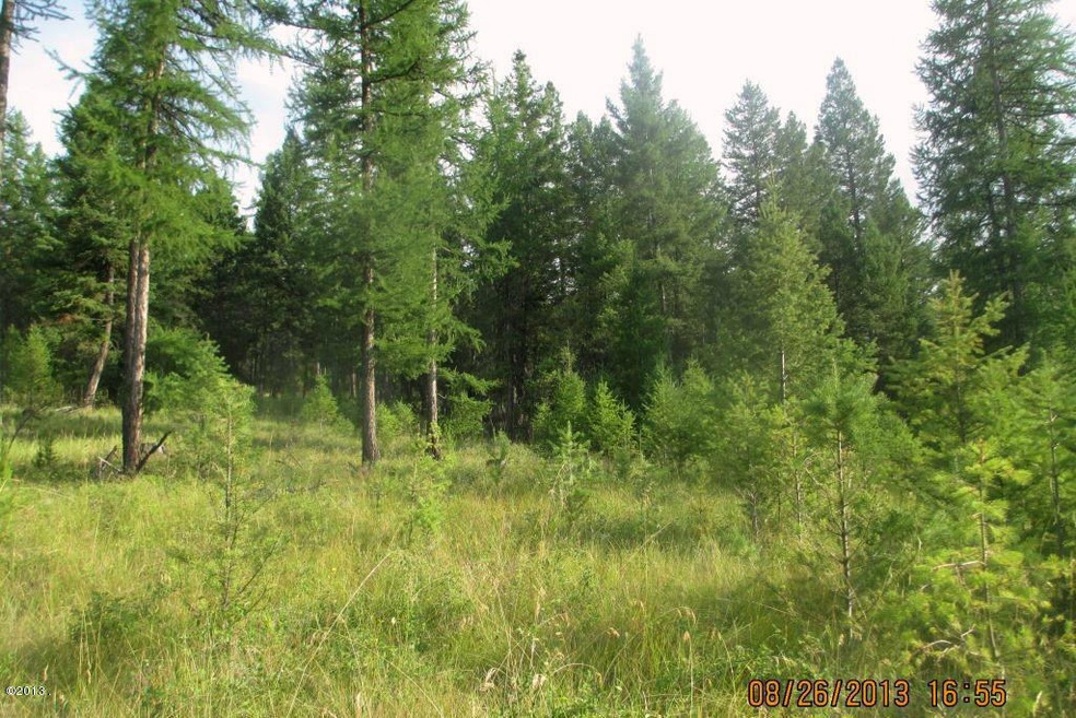 189 Torto Loop, Kila, MT 59920 - photo 1