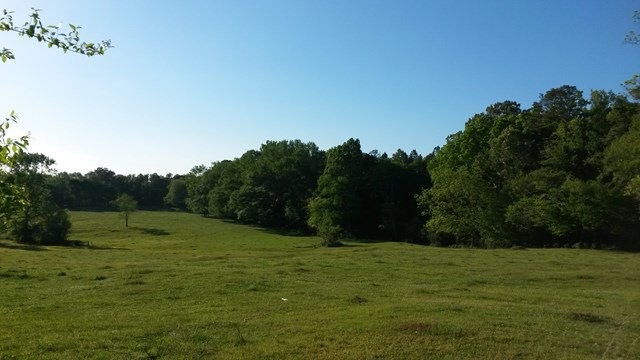 315 Folendore Rd, Haddock, GA 31033 - photo 1