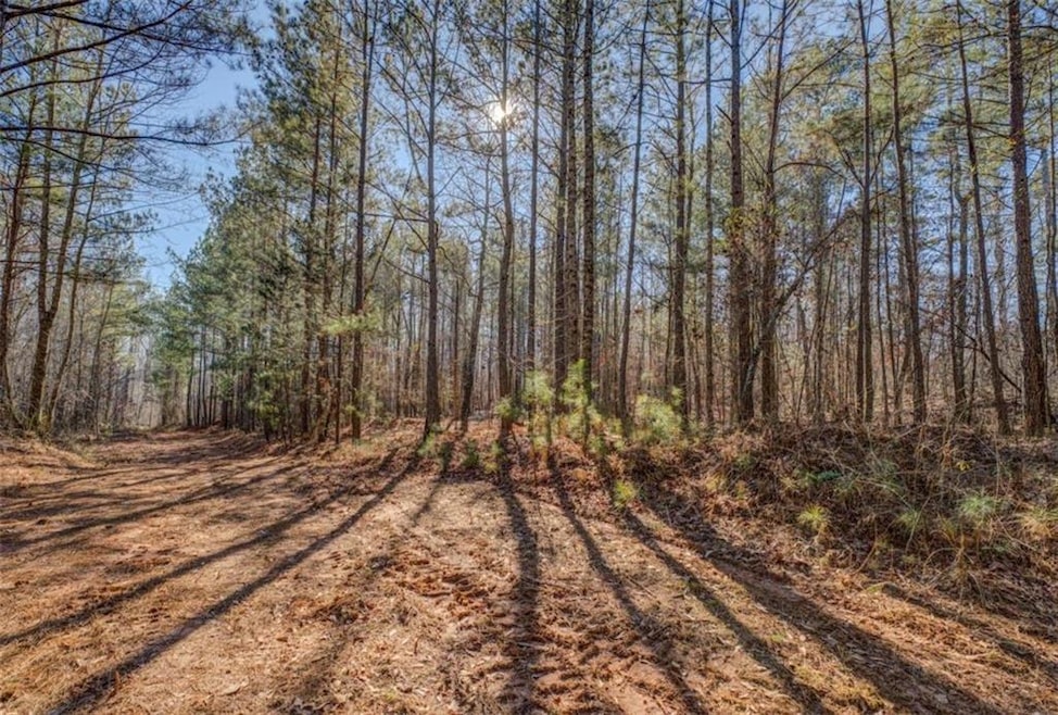 00 Social Circle Fairplay Rd, Social Circle, GA 30025 - photo 1