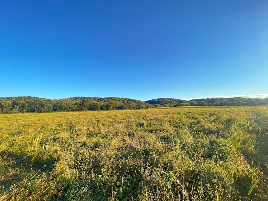 0 Narrows of the Harpeth Rd, Kingston Springs, TN 37082 - photo 1