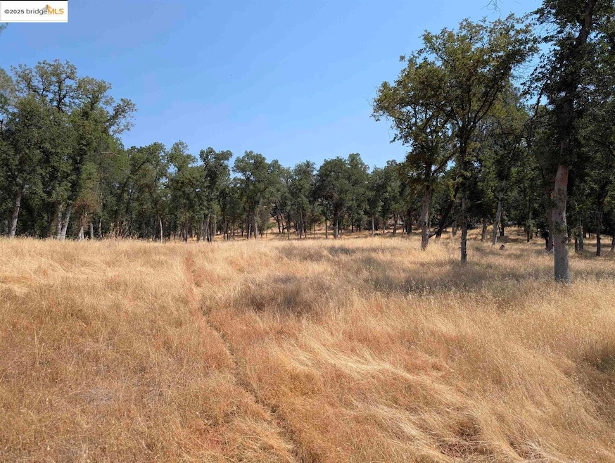 5.89 Acre Estate Lot.