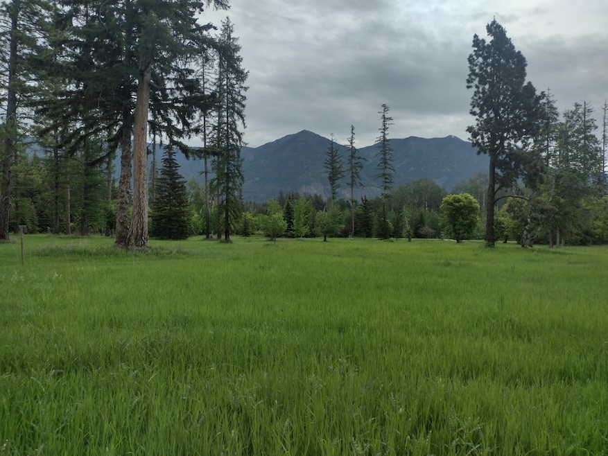 136 Timber Axe Ln, Columbia Falls, MT 59912 - photo 1