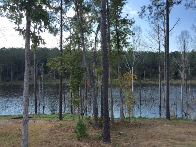 804 Highway 30 E, Oxford, MS 38655 - photo 1