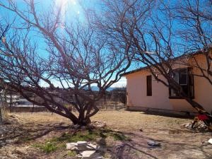3152 back yard