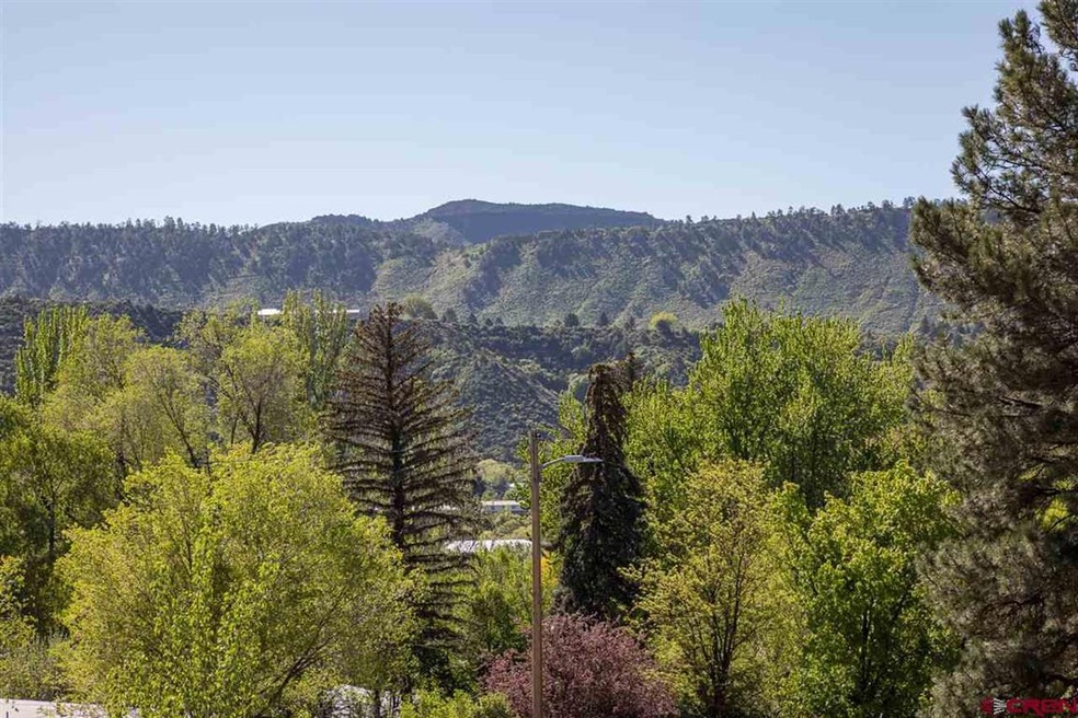 0 Calle de Rincon unit 764222, Durango, CO 81301 - photo 1