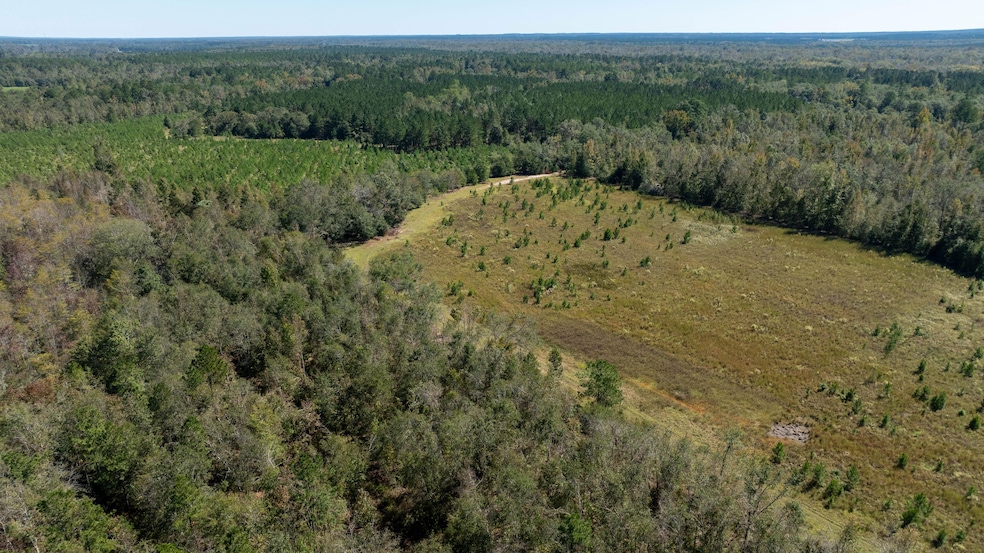 0 Highway 17 unit 21752659, Midville, GA 30441 - photo 1