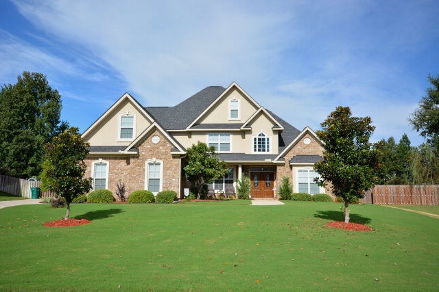 Main View