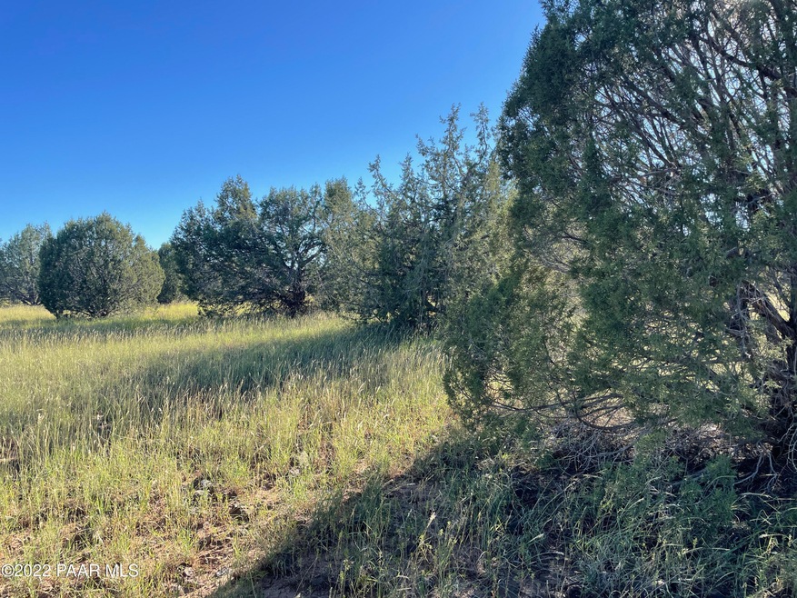 Lot 51a Juniperwood Ranch, Ash Fork, AZ 86046 - photo 1