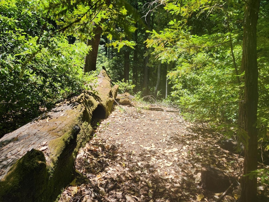 0 Lost Valley Rd unit ML82027788, Los Gatos, CA 95033 - photo 1