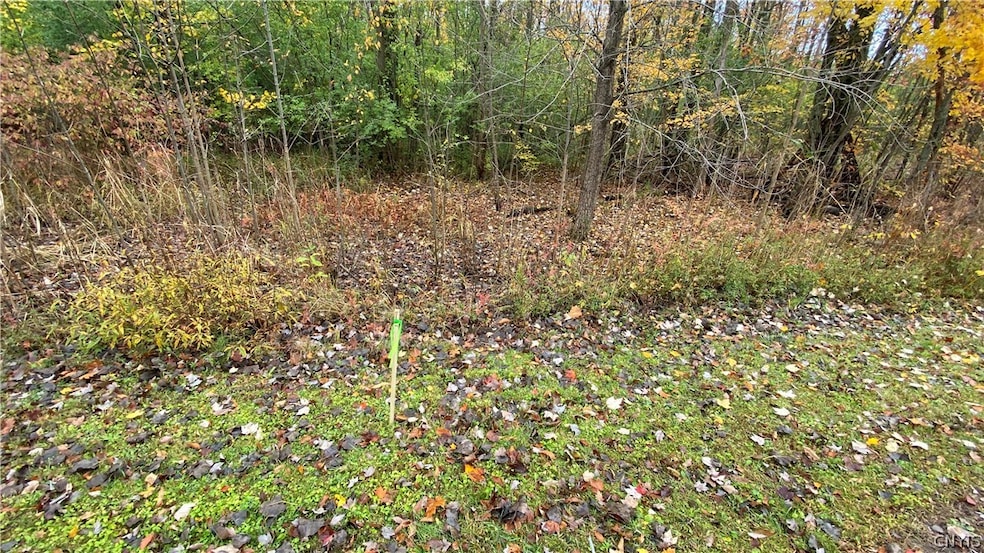 23 Jordan Way, Oswego, NY 13126 - photo 1