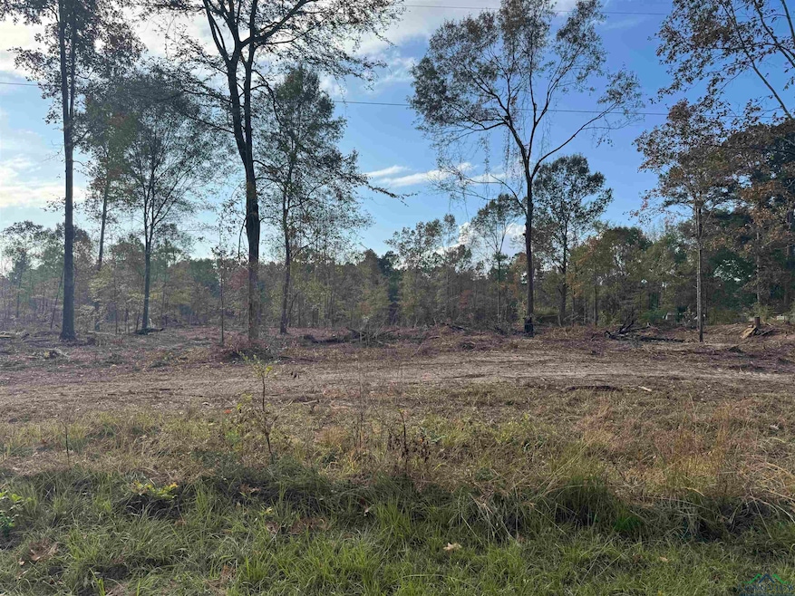 Lot 1 TBD County Road 4108, Henderson, TX 75654 - photo 1