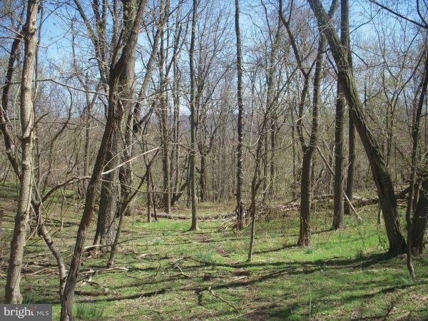 0 Engle Molers Rd unit 1000217195, Harpers Ferry, WV 25425 - photo 1