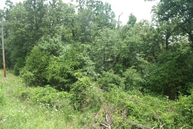 156 Hand Cove Rd, Elizabeth, AR 72531 - photo 1