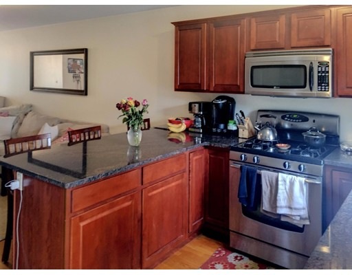 127 Tudor St unit 1, Boston, MA 02127 - photo 1