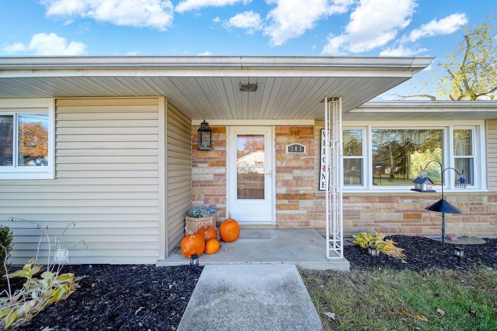 303 Tecumseh St, Brooklyn, MI 49230 - photo 1