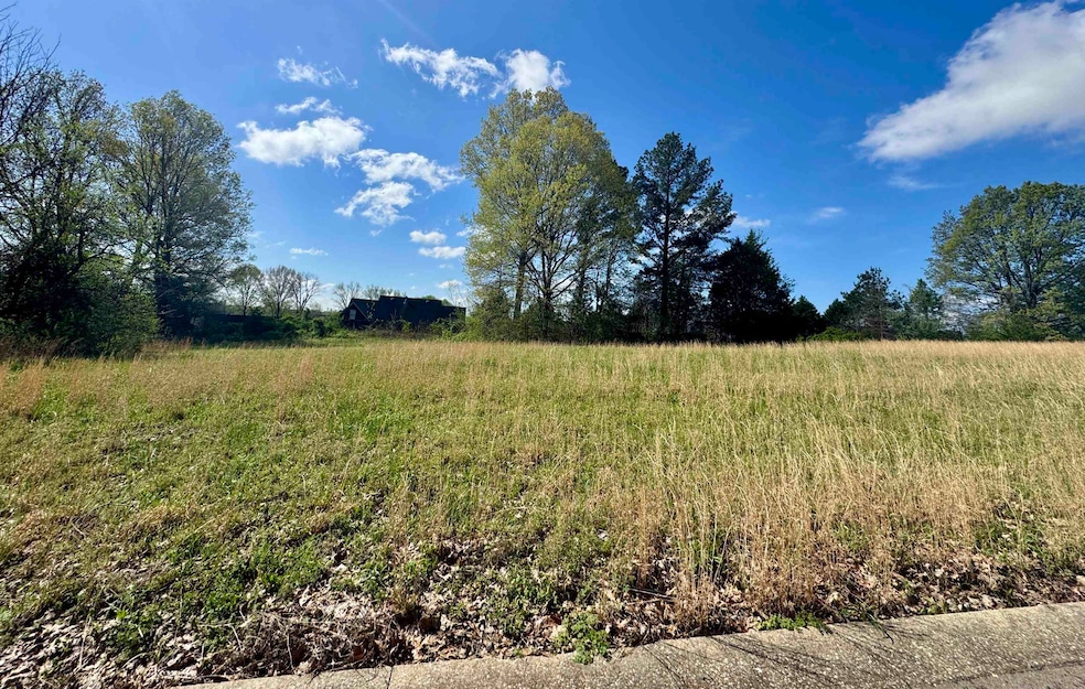 060 York Commons, Ripley, TN 38063 - photo 1