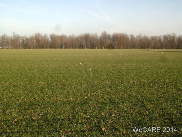 unlisted-address, Ottawa, OH 45875 - photo 1