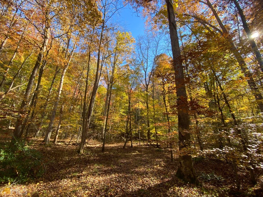 0 Fielder Rd unit 20014498, Ellijay, GA 30536 - photo 1