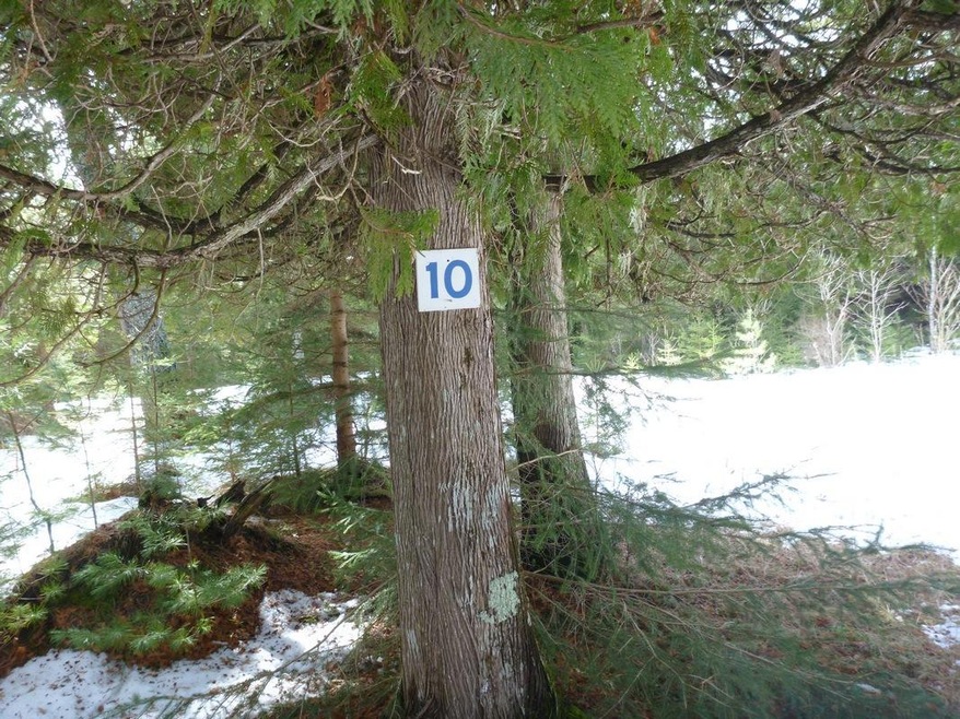 P1030342