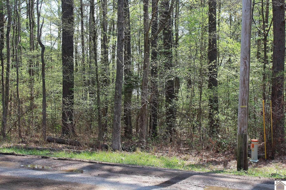 112, 113, & 114 Lime Dr unit 1 Lakeway Shore, Murray, KY 42071 - photo 1