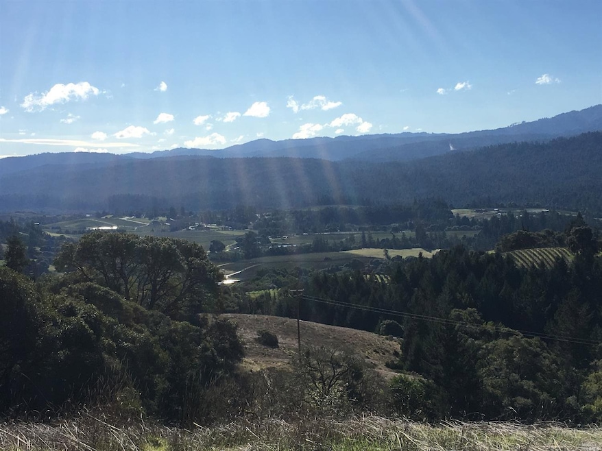 13731 Clow Ridge Rd, Philo, CA 95466 - photo 1