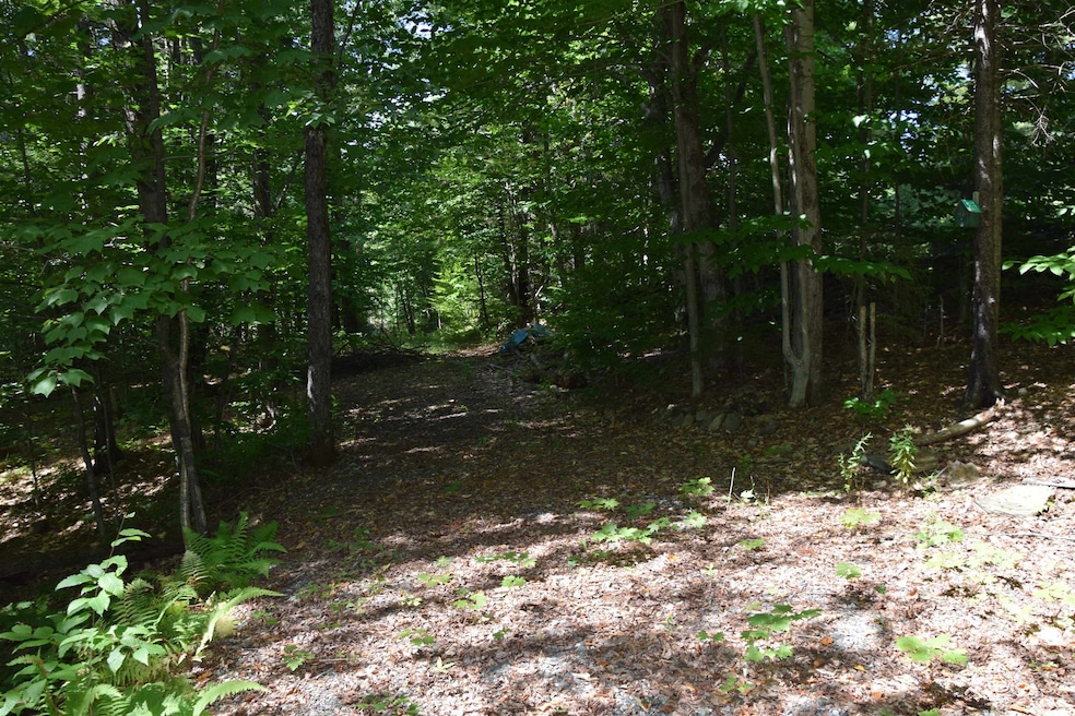 203 Minor Rd, Wilmington, VT 05363 - photo 1