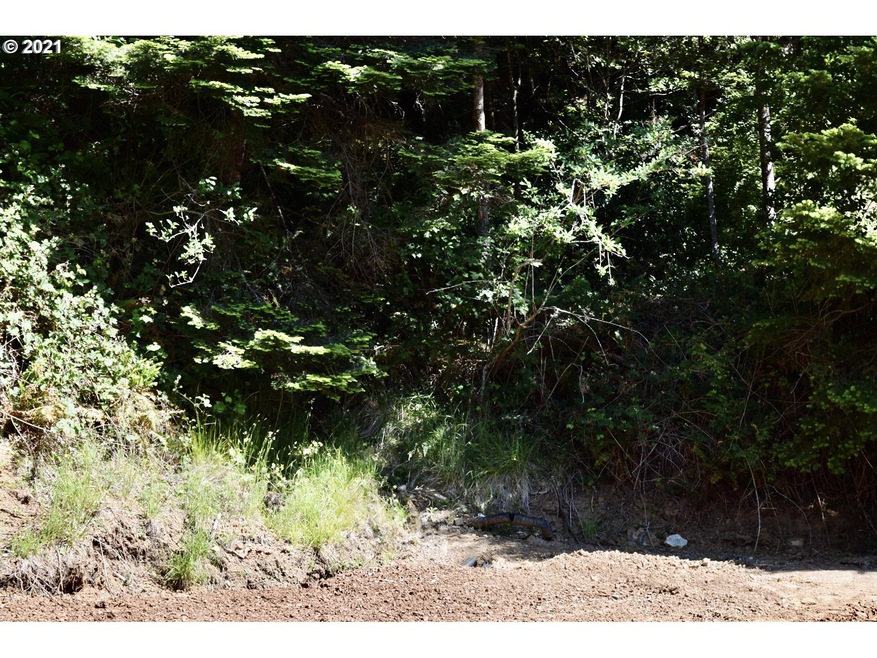 94324 Coldiron Hill Rd, Gold Beach, OR 97444 - photo 1