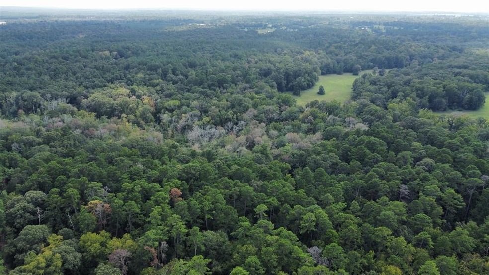 TBD- A Cr 136, Nacogdoches, TX 75961 - photo 1