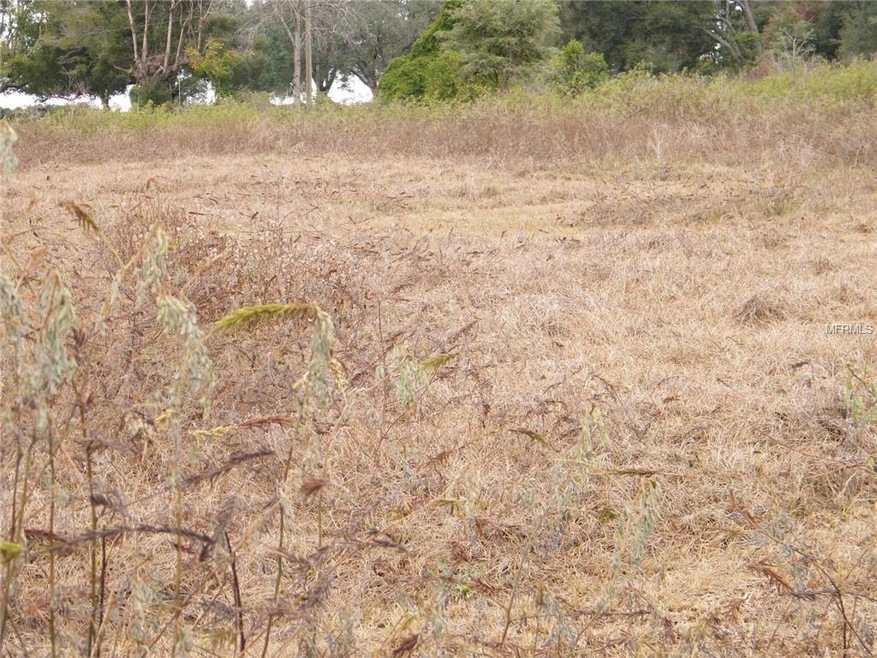 0 Bryant View Ct, Zephyrhills, FL 33540 - photo 1