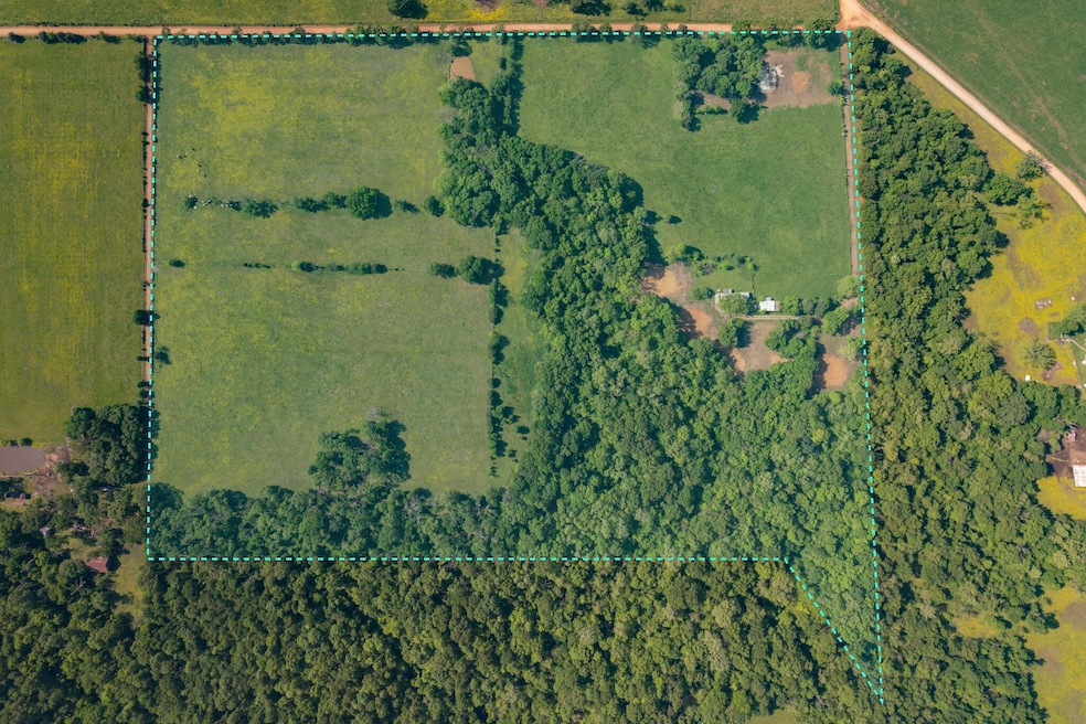 1559cowskin30outline