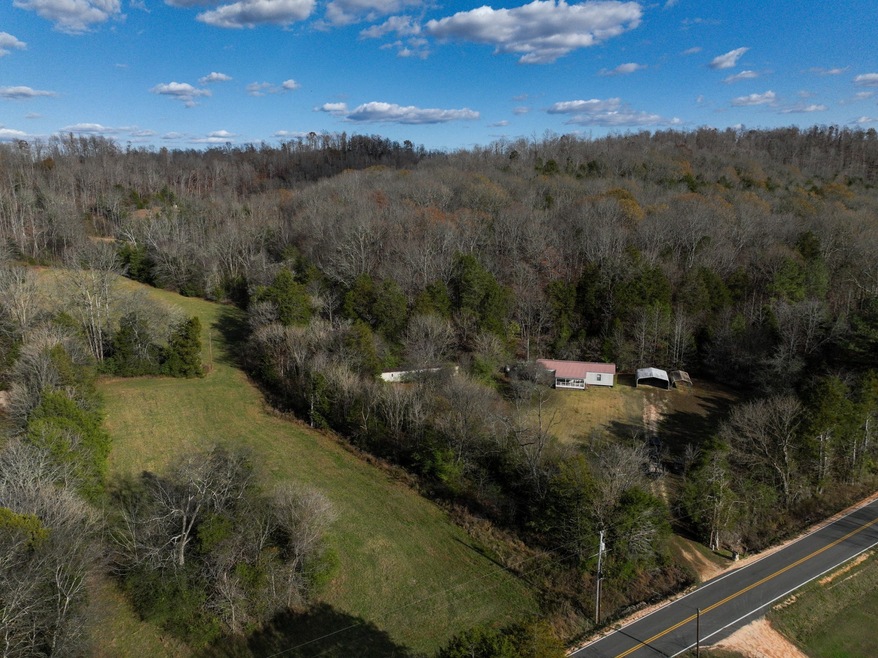 2938 Woods Prong Rd, Linden, TN 37096 - photo 1