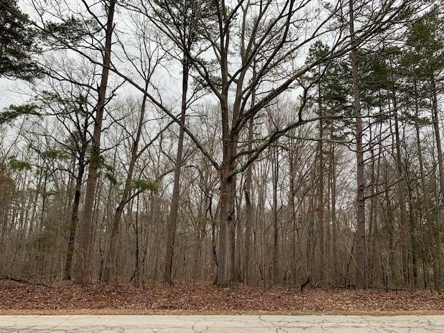 0 Old Thompson Mill Rd unit 6680322, Winder, GA 30680 - photo 1