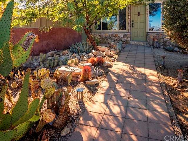 Colorful cactus & succulents guide your footsteps 
