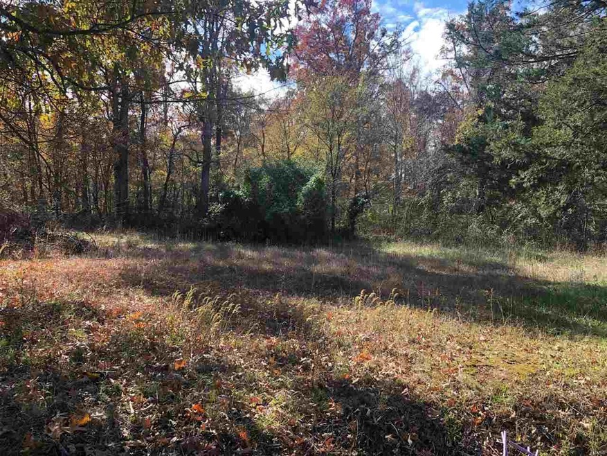 0 County Road 468, Poplar Bluff Township, MO 63901 - photo 1